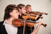 Tre Violini trio